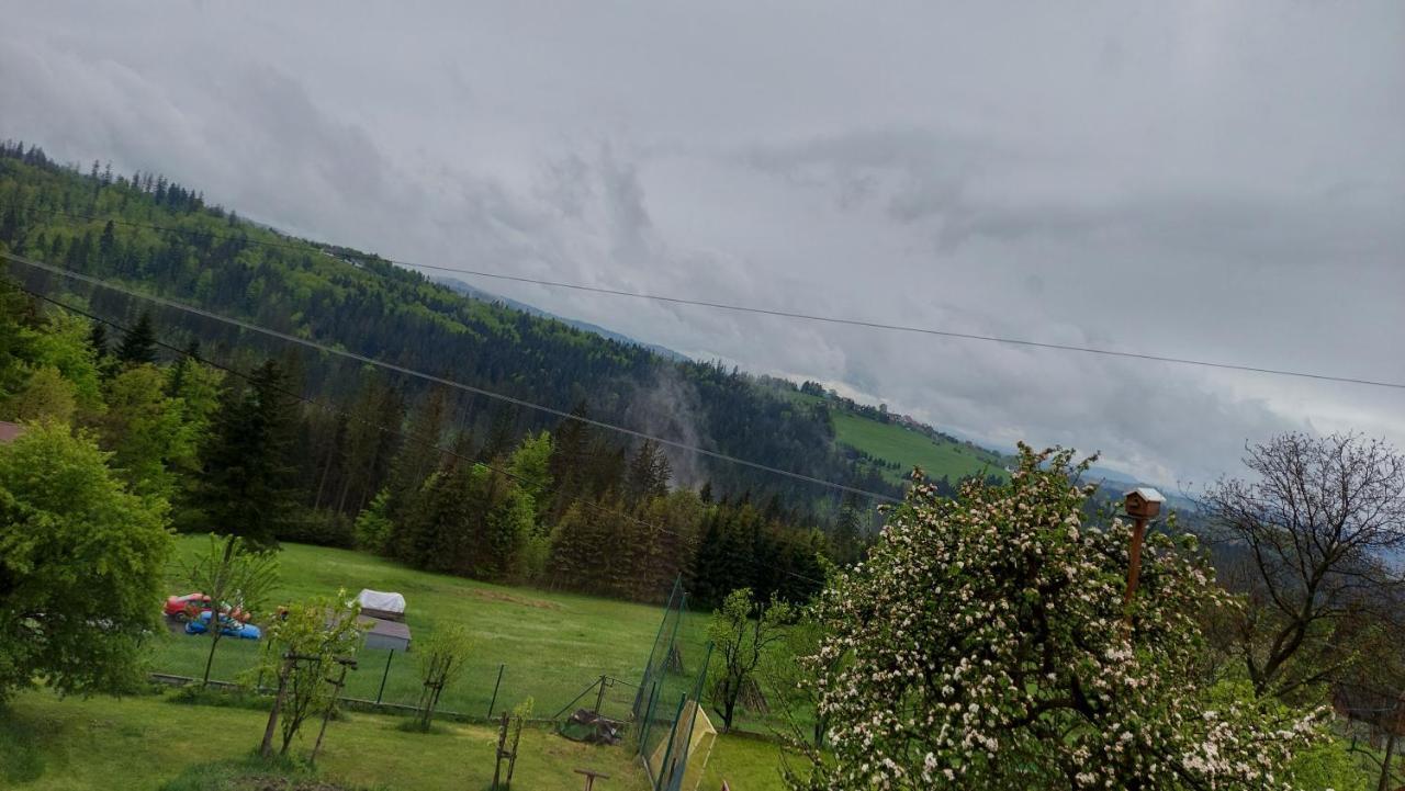 Domek nad Lasem Koniaków Exteriér fotografie